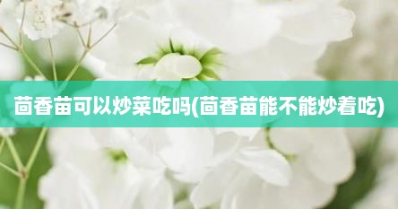 茴香苗可以炒菜吃吗(茴香苗能不能炒着吃)