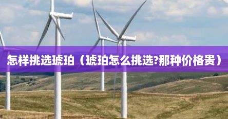 怎样挑选琥珀（琥珀怎么挑选?那种价格贵）