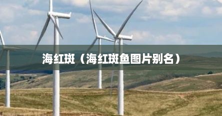 海红斑（海红斑鱼图片别名）