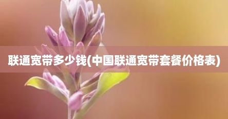 联通宽带多少钱(中国联通宽带套餐价格表)
