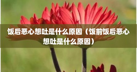 饭后恶心想吐是什么原因（饭前饭后恶心想吐是什么原因）