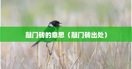 敲门砖的意思（敲门砖出处）