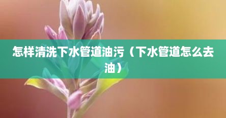 怎样清洗下水管道油污（下水管道怎么去油）