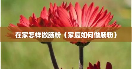 在家怎样做肠粉（家庭如何做肠粉）