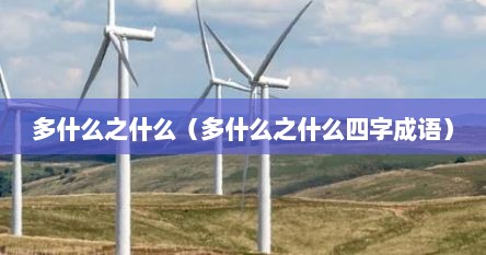 多什么之什么（多什么之什么四字成语）