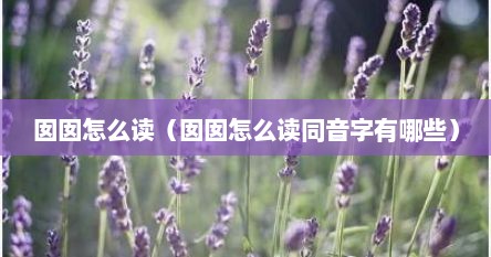 囡囡怎么读（囡囡怎么读同音字有哪些）