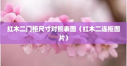 红木二门柜尺寸对照表图（红木二连柜图片）