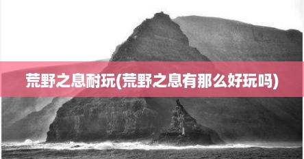 荒野之息耐玩(荒野之息有那么好玩吗)