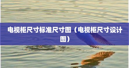 电视柜尺寸标准尺寸图（电视柜尺寸设计图）