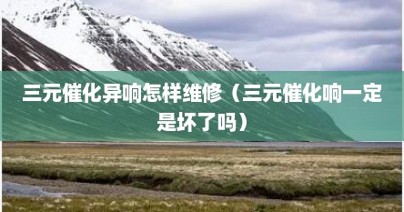 三元催化异响怎样维修（三元催化响一定是坏了吗）