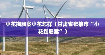 小花掏肠案小花怎样（甘肃省张掖市“小花掏肠案”）