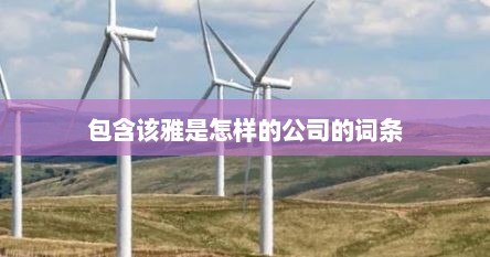 包含该雅是怎样的公司的词条