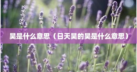 昊是什么意思（日天昊的昊是什么意思）