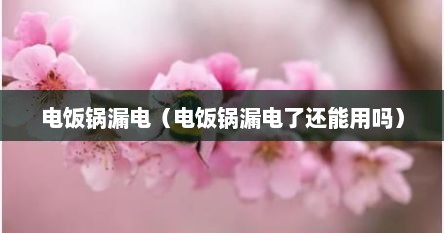 电饭锅漏电（电饭锅漏电了还能用吗）
