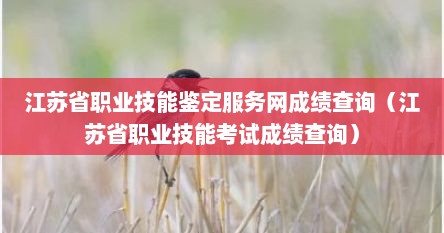 江苏省职业技能鉴定服务网成绩查询（江苏省职业技能考试成绩查询）
