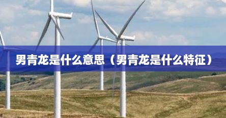 男青龙是什么意思（男青龙是什么特征）