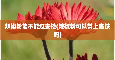 辣椒粉能不能过安检(辣椒粉可以带上高铁吗)