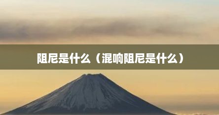 阻尼是什么（混响阻尼是什么）
