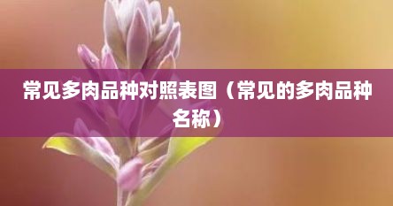 常见多肉品种对照表图（常见的多肉品种名称）