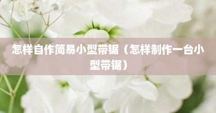 怎样自作简易小型带锯（怎样制作一台小型带锯）