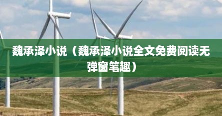 魏承泽小说（魏承泽小说全文免费阅读无弹窗笔趣）