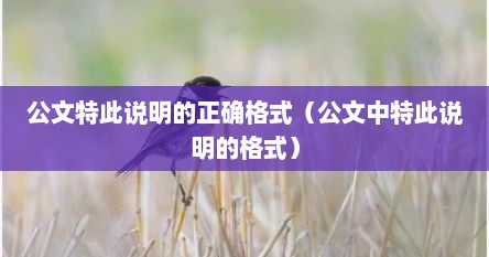 公文特此说明的正确格式（公文中特此说明的格式）