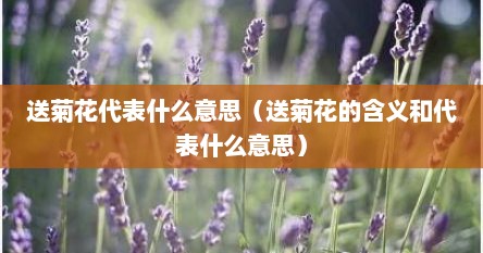 送菊花代表什么意思（送菊花的含义和代表什么意思）