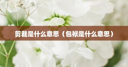 剪裁是什么意思（包袱是什么意思）