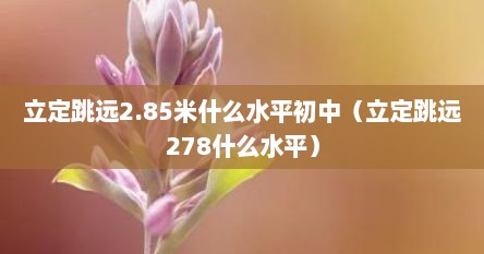立定跳远2.85米什么水平初中（立定跳远278什么水平）