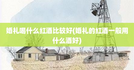 婚礼喝什么红酒比较好(婚礼的红酒一般用什么酒好)