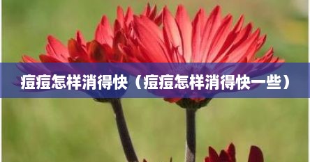 痘痘怎样消得快（痘痘怎样消得快一些）