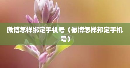 微博怎样绑定手机号（微博怎样邦定手机号）