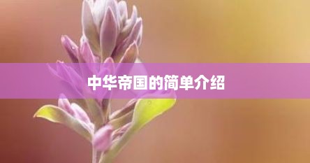 中华帝国的简单介绍