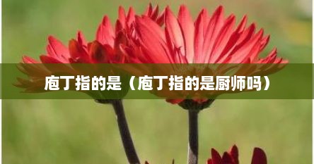 庖丁指的是（庖丁指的是厨师吗）