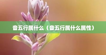 音五行属什么（音五行属什么属性）