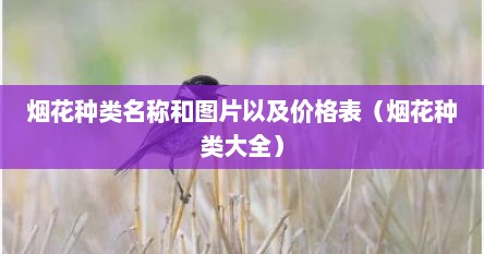 烟花种类名称和图片以及价格表（烟花种类大全）