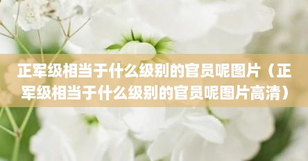 正军级相当于什么级别的官员呢图片（正军级相当于什么级别的官员呢图片高清）