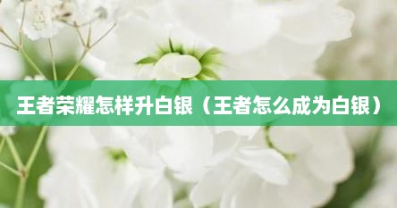 王者荣耀怎样升白银（王者怎么成为白银）