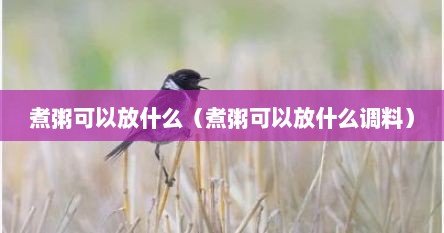 煮粥可以放什么（煮粥可以放什么调料）