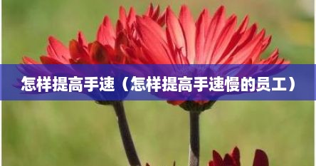 怎样提高手速（怎样提高手速慢的员工）