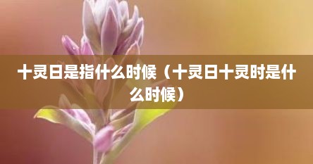 十灵日是指什么时候（十灵日十灵时是什么时候）