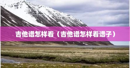 吉他谱怎样看（吉他谱怎样看谱子）