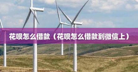 花呗怎么借款（花呗怎么借款到微信上）