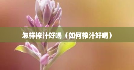 怎样榨汁好喝（如何榨汁好喝）