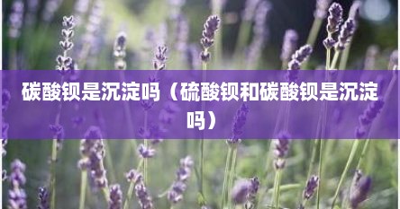 碳酸钡是沉淀吗（硫酸钡和碳酸钡是沉淀吗）