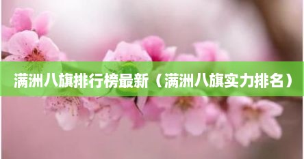 满洲八旗排行榜最新（满洲八旗实力排名）