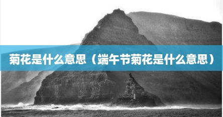 菊花是什么意思（端午节菊花是什么意思）