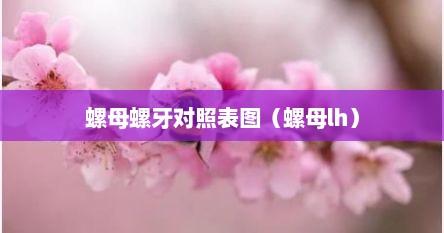 螺母螺牙对照表图（螺母lh）