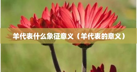 羊代表什么象征意义（羊代表的意义）