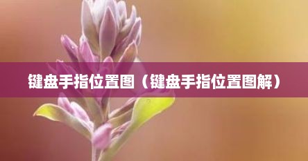 键盘手指位置图（键盘手指位置图解）